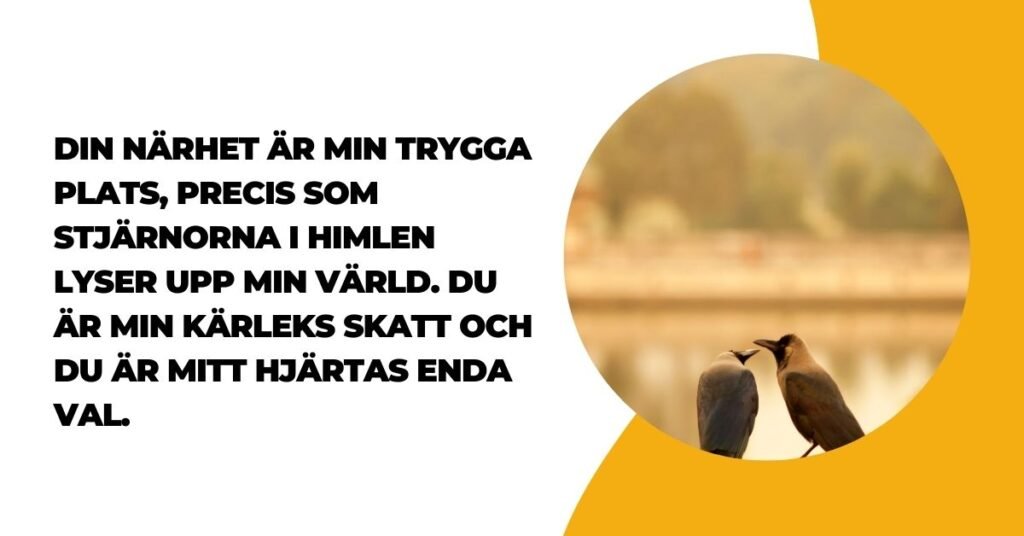 Kärlek Dikt Till Min Alskling (1)